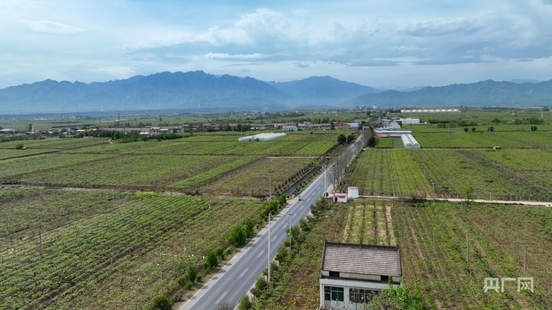鄉路上，感受脈動中國——美麗鄉路服務提質，地標鮮果助力振興