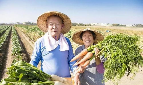 退休金4200的我，在農(nóng)村嫂子家看到的另一種富足